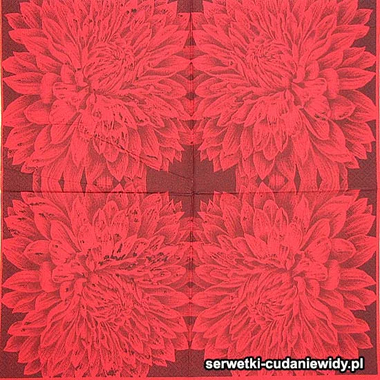 67351 Anikatowy Wzór