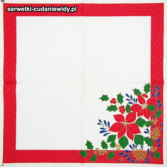 67395 Anikatowy Wzór