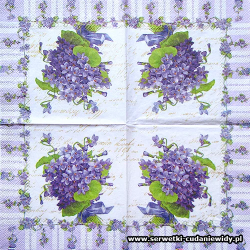 67433 My Lady Violets