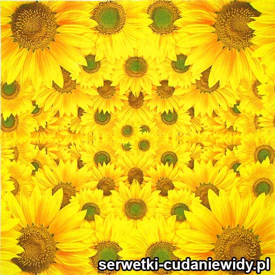 67674 Oryginalny Wzór