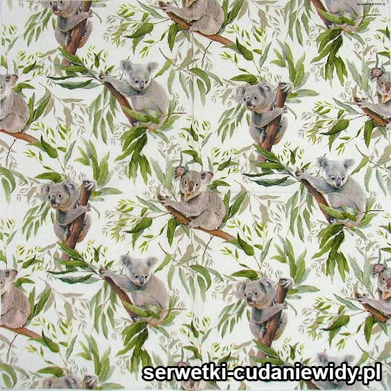 6775 Uszy Koala