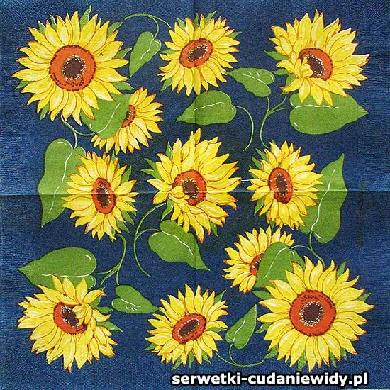 67751 Oryginalny Wzór