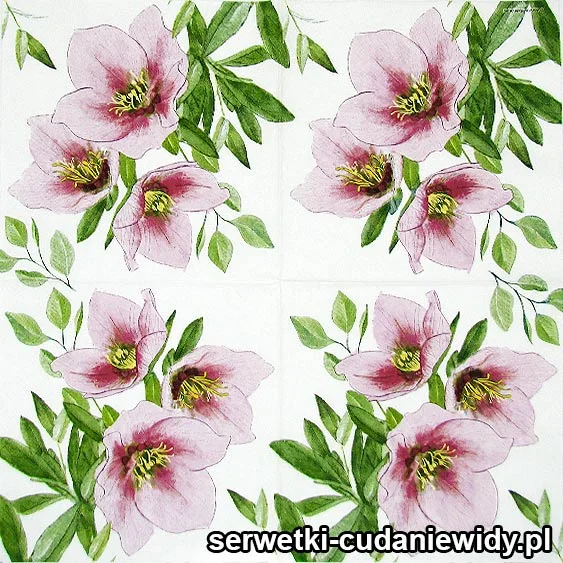 6782 Ciemiernik Rózowy