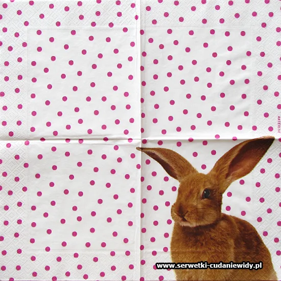 6836 Bunny