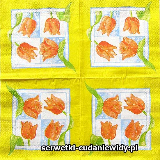 6843 Unikatowy Wzór