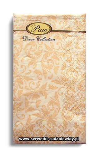 6845PACZKA Winter Design