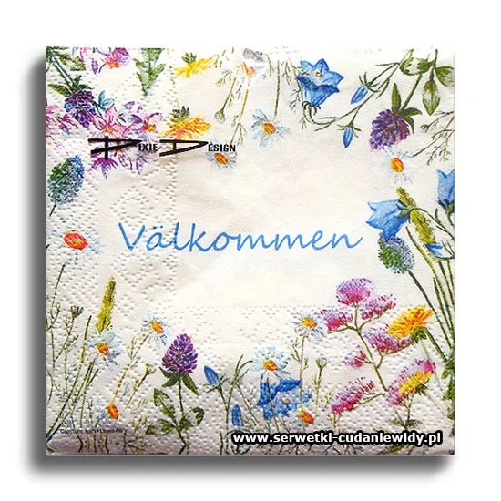 6865PACZKA Valkommen