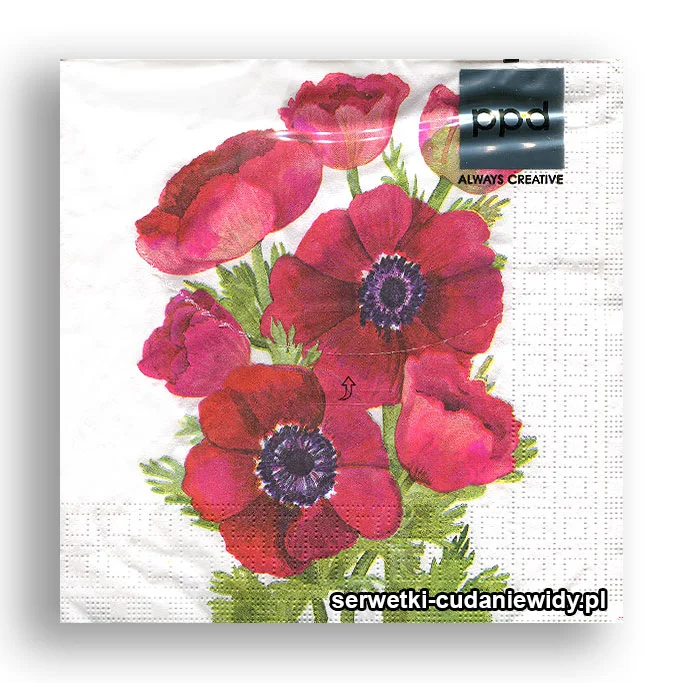 6870PACZKA Burgundowe Anemony