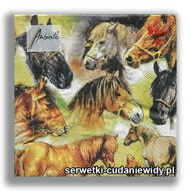 6873PACZKA Wiele Koni