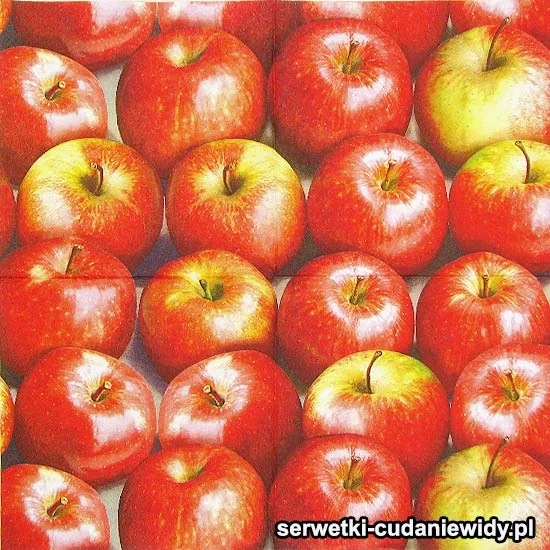 69090 Serwetki Na Sztuki