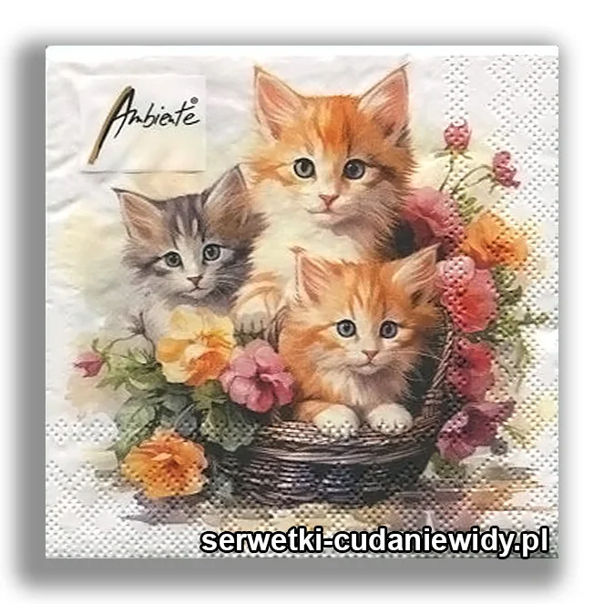 6926PACZKA Rudzielce W Koszyku