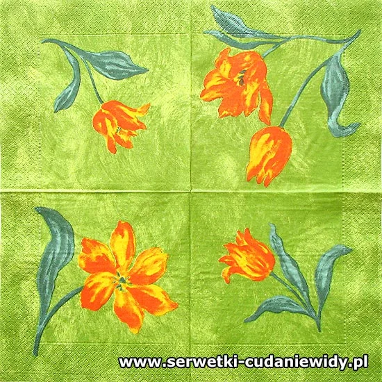 6935 Unikatowy Wzór