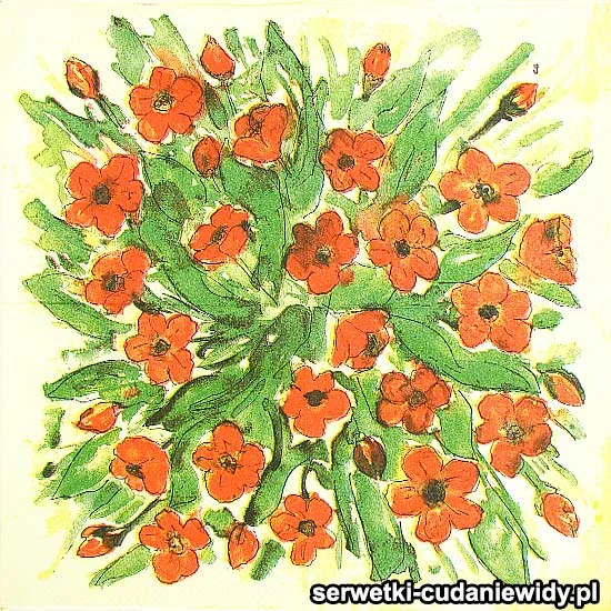 69491 Serwetki Kolekcjonerskie