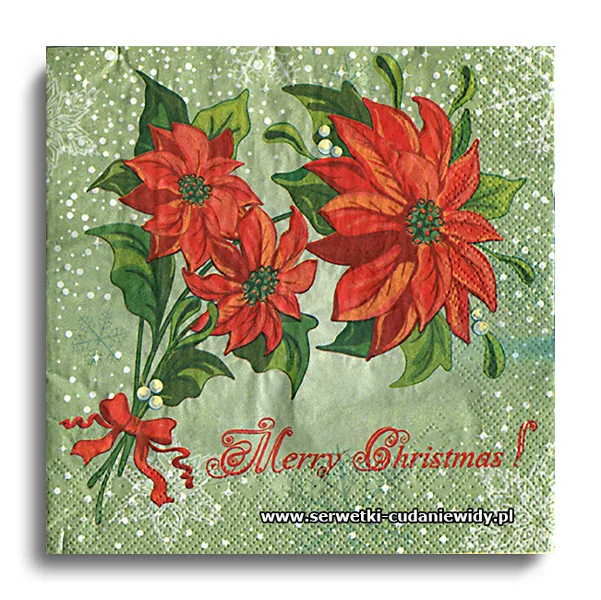 6973PACZKA Merry Christmas