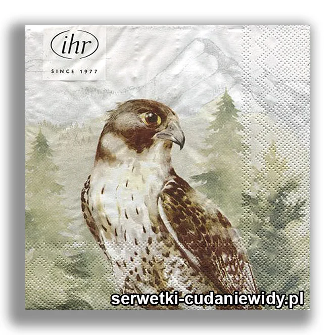 6997PACZKA Orzeł