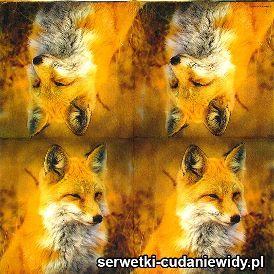 7000 Piękny Lis