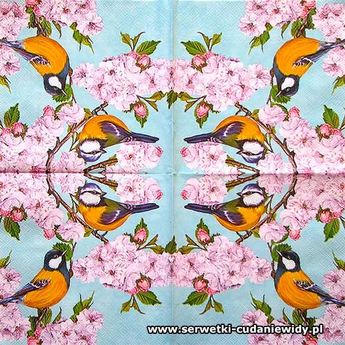 7007 Tits On Cherry Blossom Twig