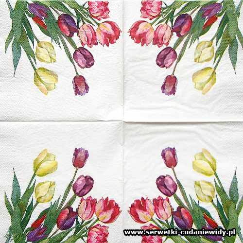 7033 Tulips