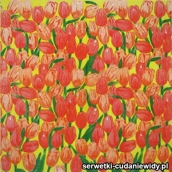 70723 Serwetki Dekoracyjne