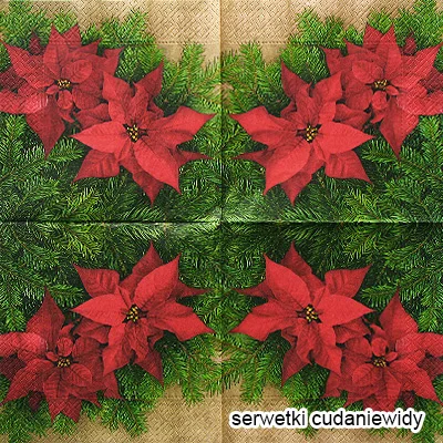 71480 Poinsettia Blossom