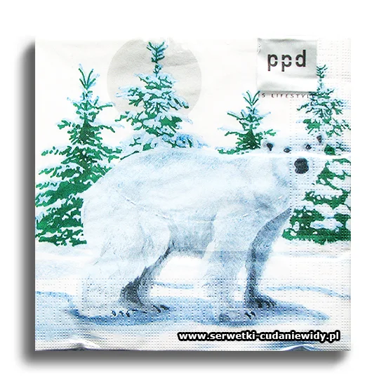 7203PACZKA Snow Bear