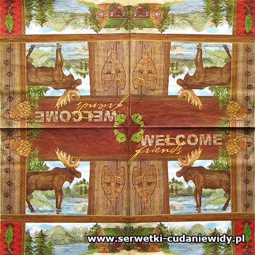 7211 Wild Vacation Welcome Friends
