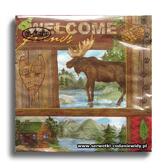 7211PACZKA Wild Vacation Welcome Friends