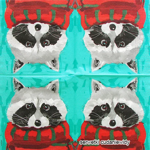 7223 Ricky Raccoon