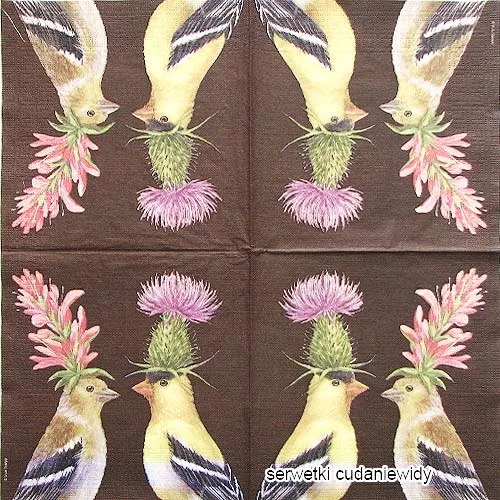 7224 Goldfinch Couple