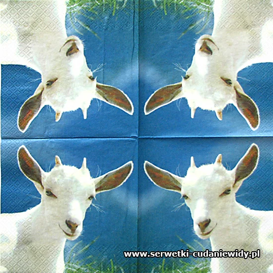 7238 First Goat