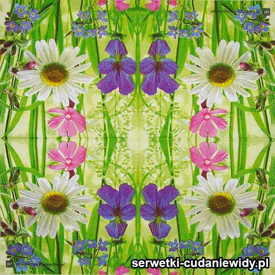 72474 Serwetki Papierowe
