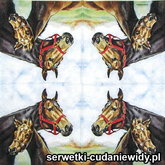 7260 Źrebię I Klacz