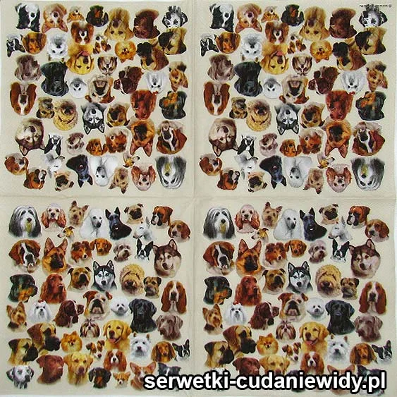 7262 Psy Ras Wszelakich