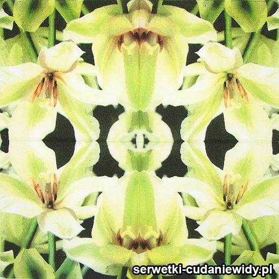 72883 Serwetki Papierowe