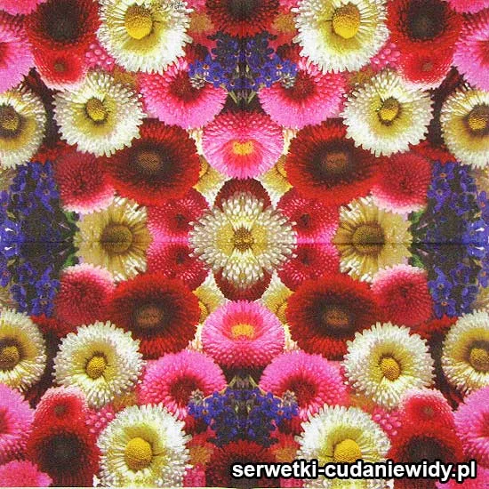 72889 Serwetki Papierowe