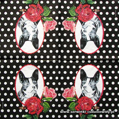 7291 Bulldog Parisien