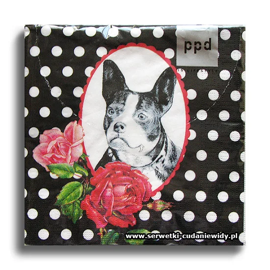 7291PACZKA Bulldog Parisien
