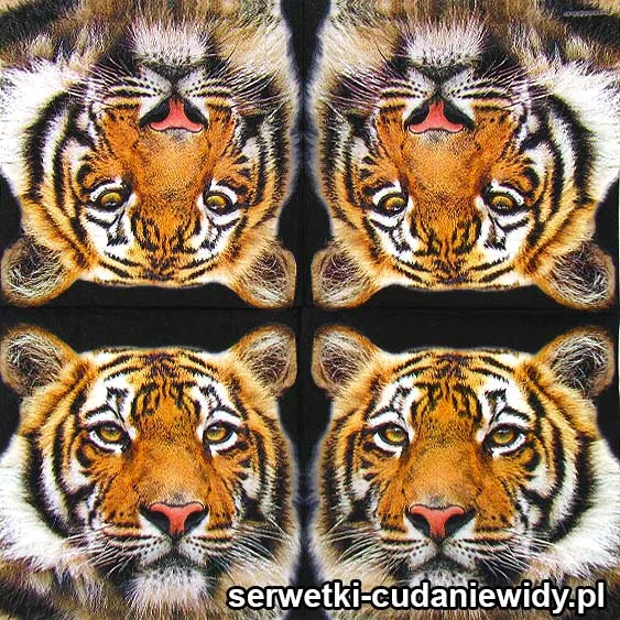 7294 Tygrys Bengalski