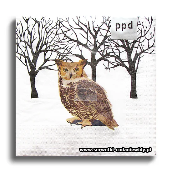 7344PACZKA Winter Owls