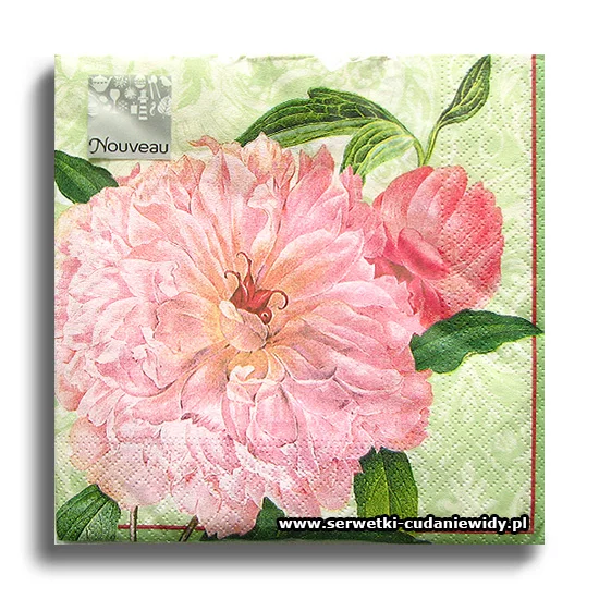 7360PACZKA Farmer`s Rose