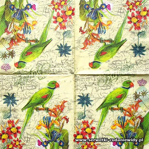 7372 Parrot