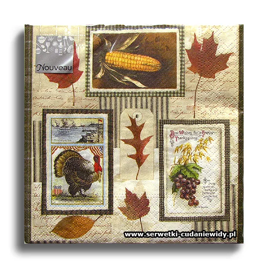 7394PACZKA Thanksgiving