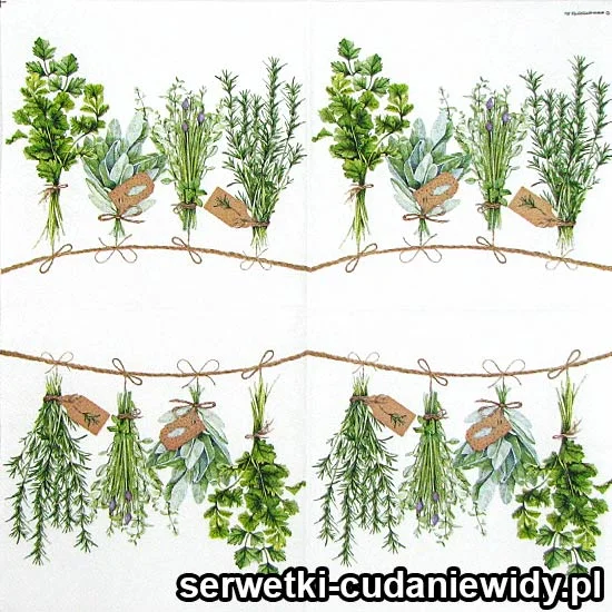 7401 Zestaw Świeżych Ziół
