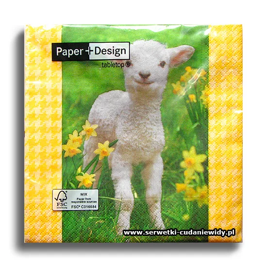 7429PACZKA Here I Am