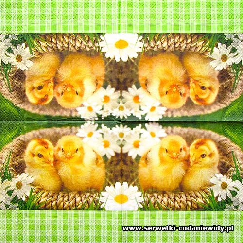7468 Fluffy Chicks