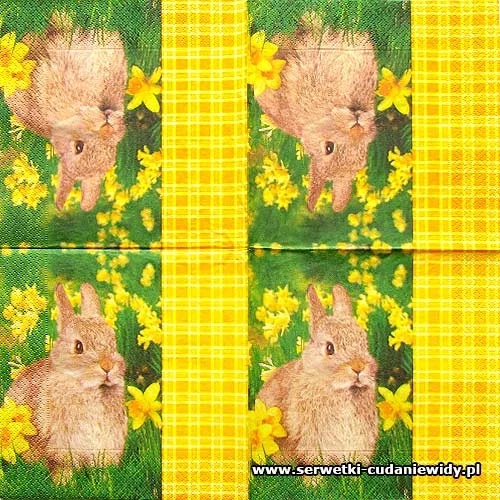 7477 I`m A Rabbit