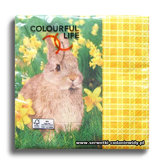 7477PACZKA I`m A Rabbit