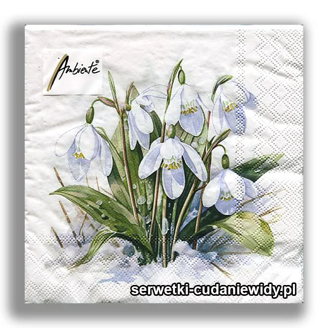 Serwetki