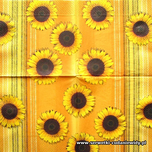 7481 Sunshine Reggae
