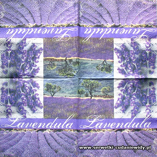 7489 Dreams Of Lavander